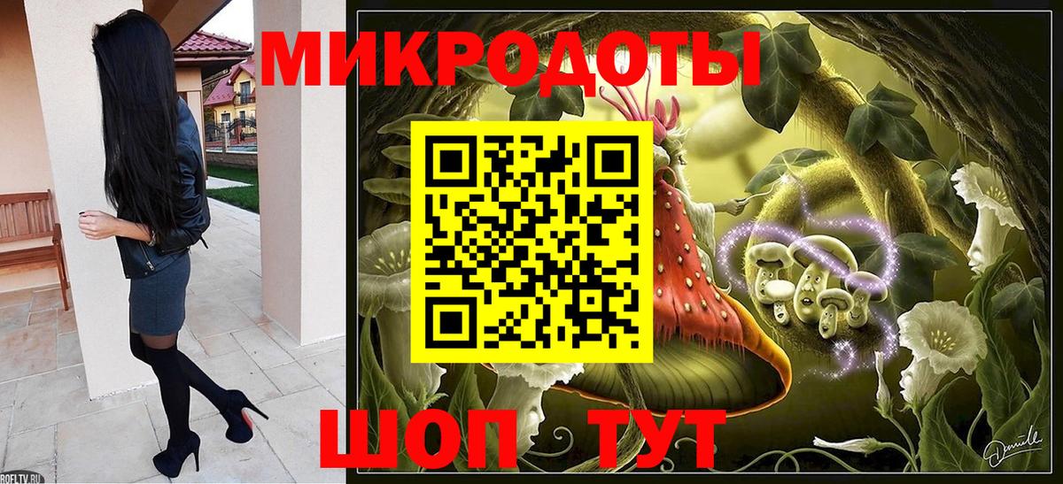 закладки  Галлюциногенные грибы мухоморы  Псилоцибиновые грибы Psilocybine cubensis  Вход с VPN  Моршанск 